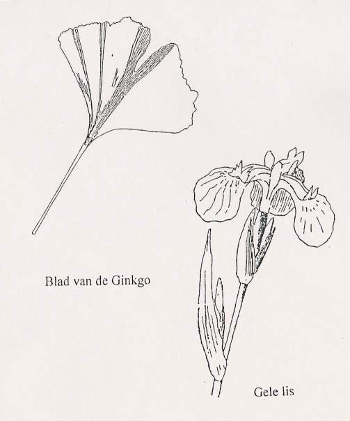 Ginkgoblad en Gele lis